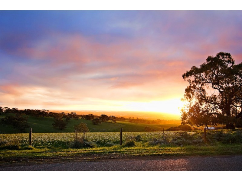 295 Kentish Road (Bibaringa), One Tree Hill SA 5114