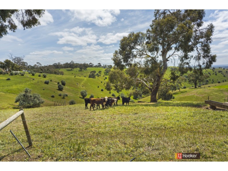 901 Gawler One Tree Hill Road (Yattalunga), One Tree Hill SA 5114