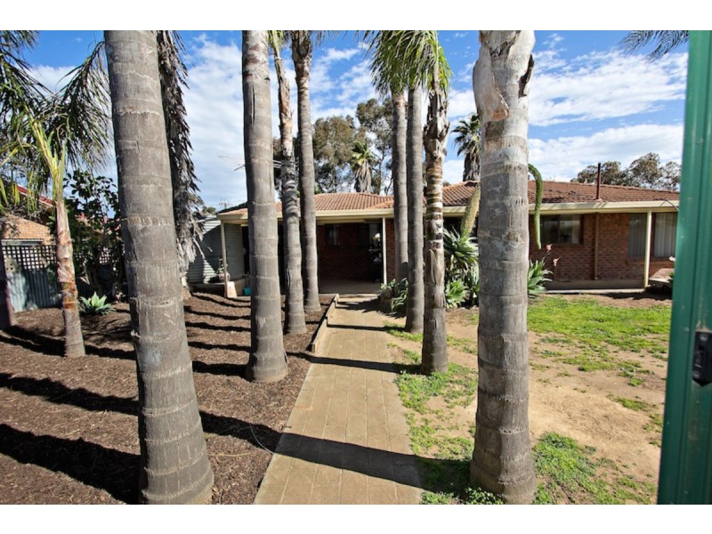 9 Chamberlain Road, Willaston SA 5118