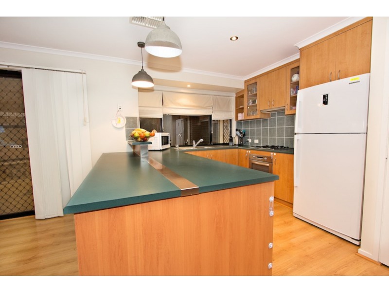 15 Rossiter Drive, Evanston Park SA 5116