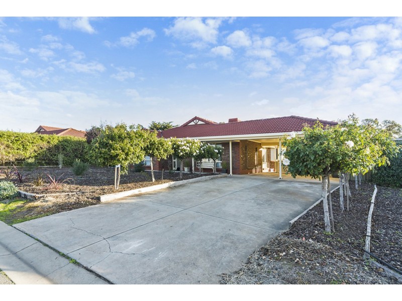 84 Fiddlewood Drive, Freeling SA 5372