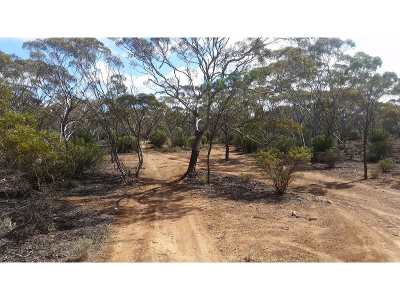 138 Gaston Road, Bakara SA 5354