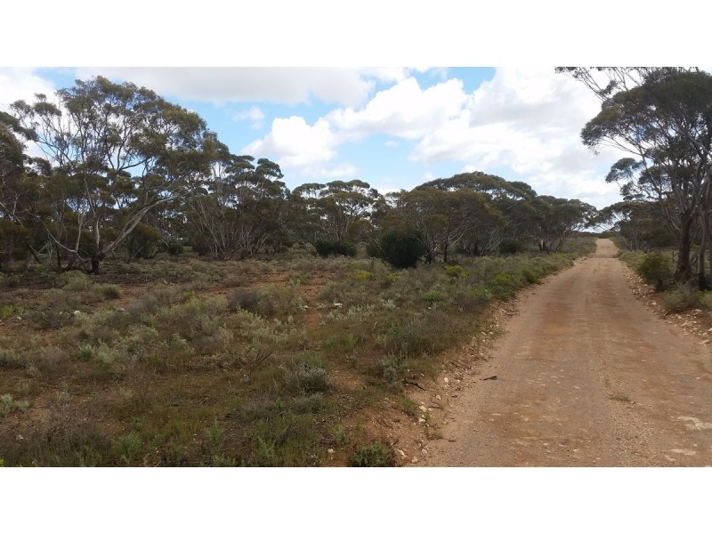 138 Gaston Road, Bakara SA 5354