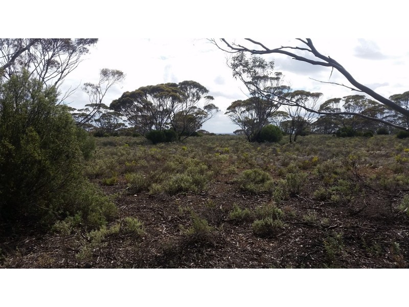 138 Gaston Road, Bakara SA 5354