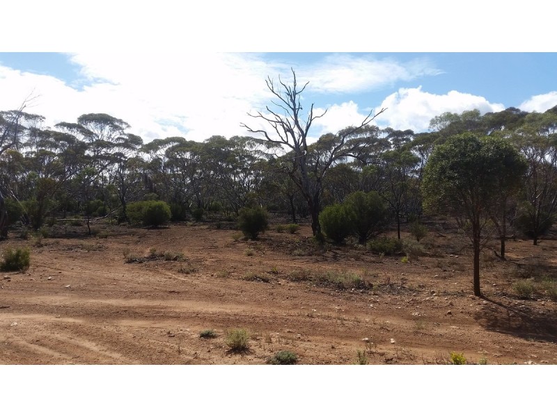 138 Gaston Road, Bakara SA 5354