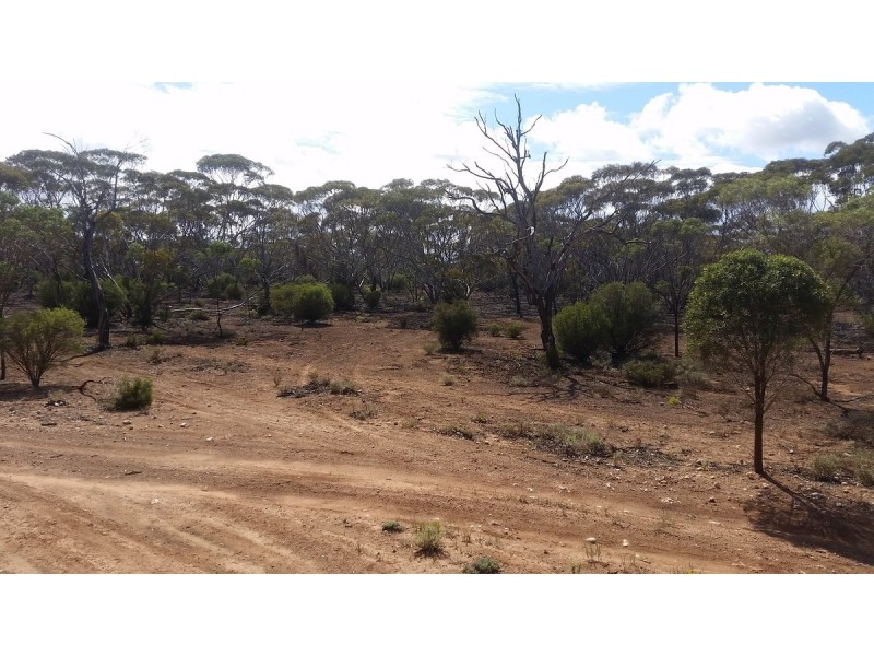138 Gaston Road, Bakara SA 5354