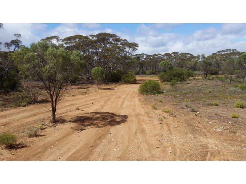138 Gaston Road, Bakara SA 5354