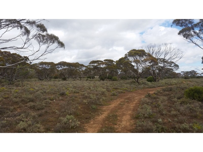 138 Gaston Road, Bakara SA 5354