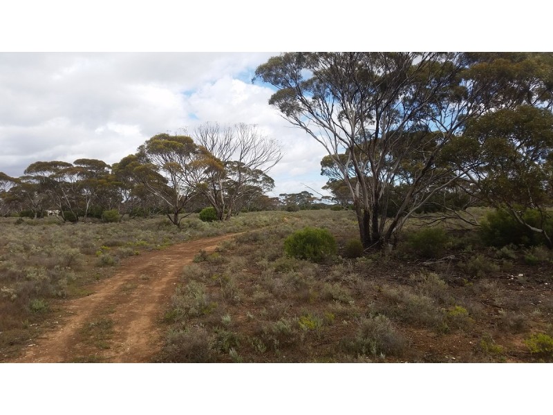 138 Gaston Road, Bakara SA 5354