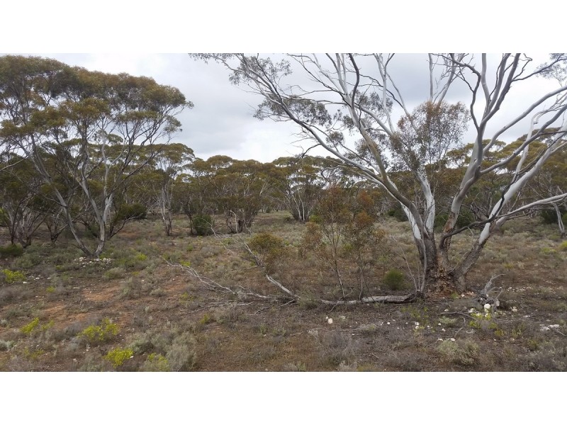 138 Gaston Road, Bakara SA 5354