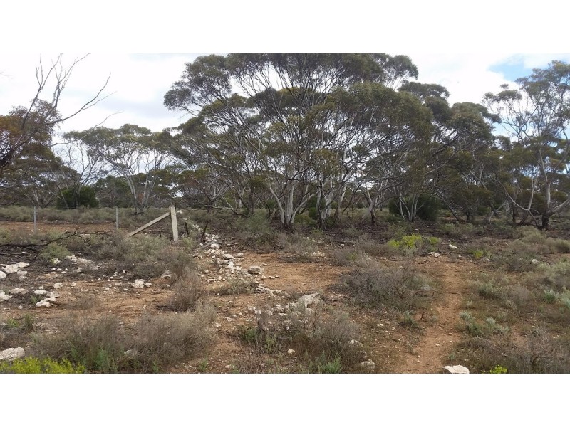 138 Gaston Road, Bakara SA 5354