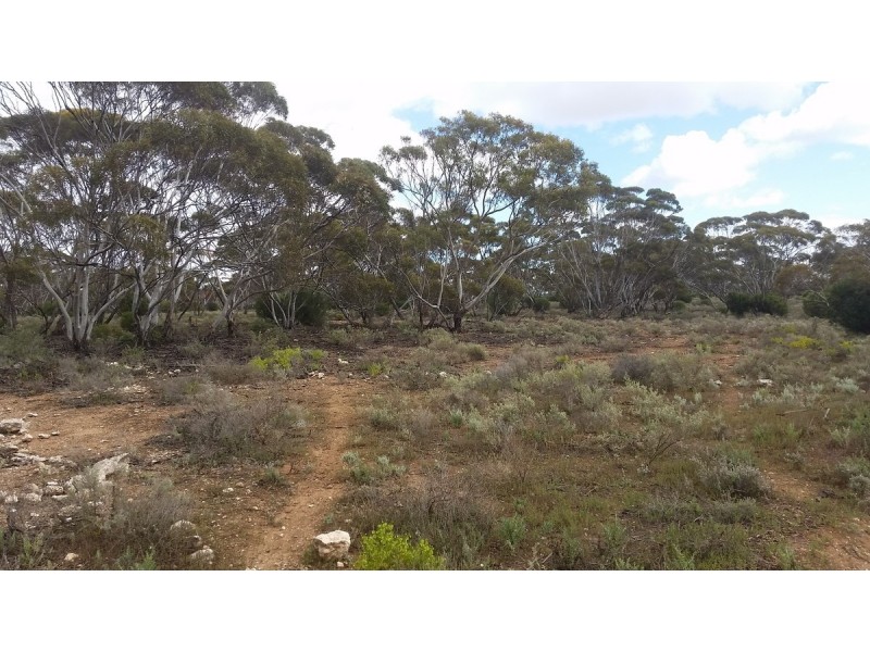138 Gaston Road, Bakara SA 5354