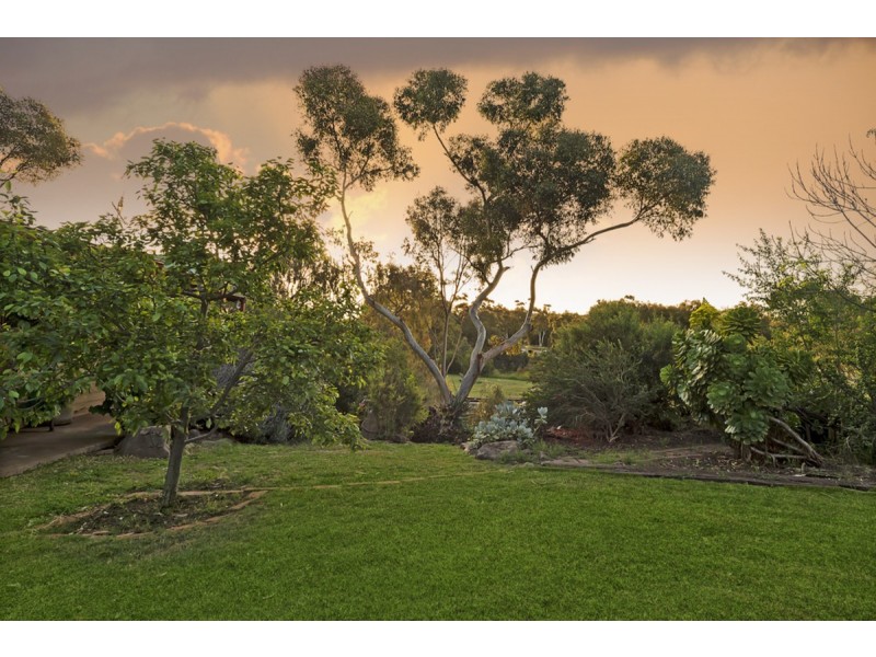 12 Blanch Street, Gawler East SA 5118