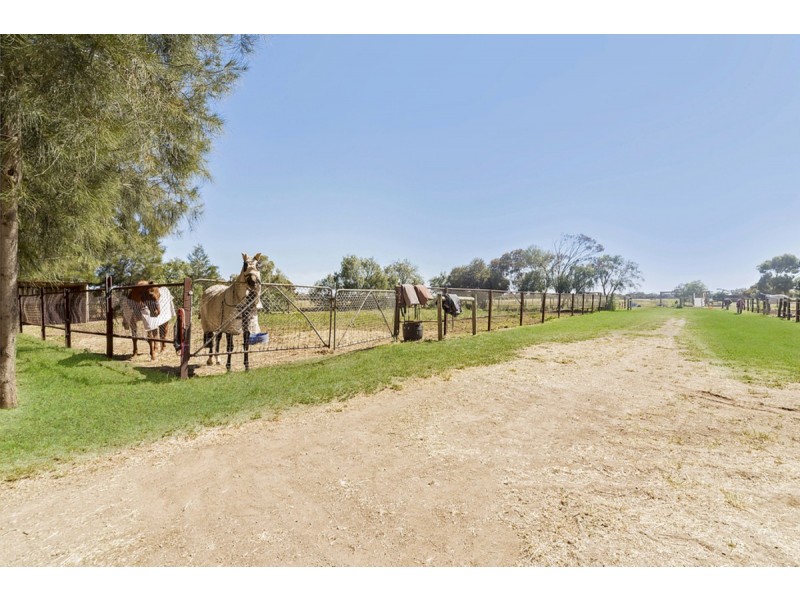 21 Aunger Road, Lewiston SA 5501