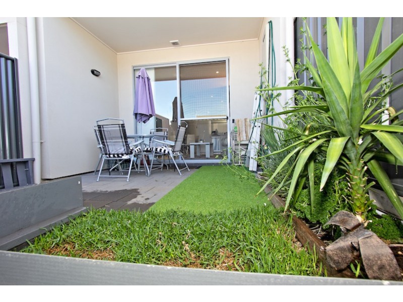 11 Botanic Link, Blakeview SA 5114