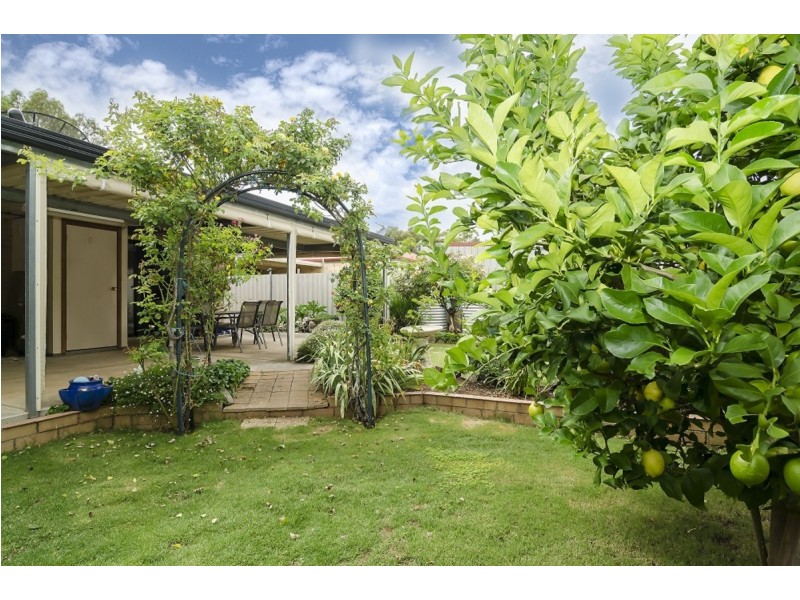 8 Skurray Court, Gawler West SA 5118