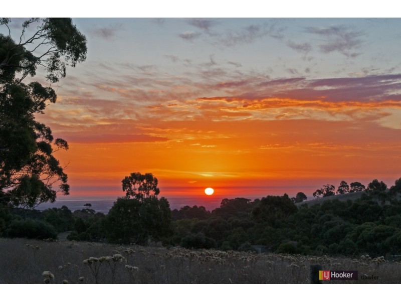 561 Craigmore Road, One Tree Hill SA 5114