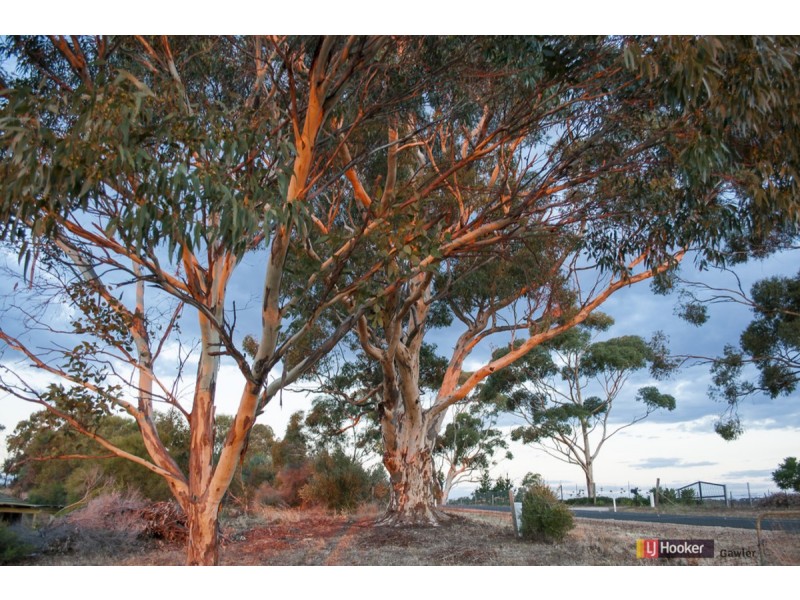 561 Craigmore Road, One Tree Hill SA 5114