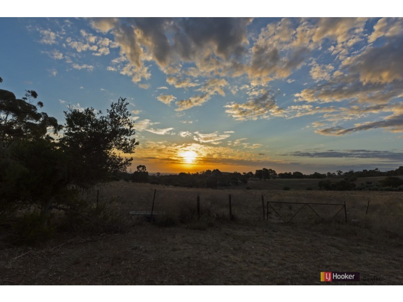 561 Craigmore Road, One Tree Hill SA 5114