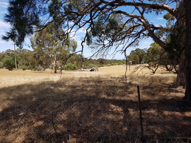 Lot 51/1054 Gawler One Tree Hill Road, One Tree Hill SA 5114