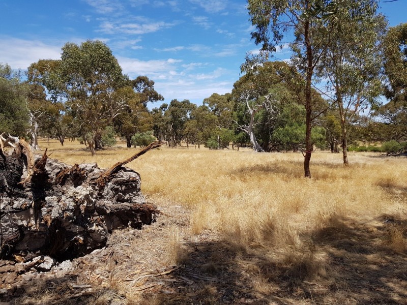 Lot 51/1054 Gawler One Tree Hill Road, One Tree Hill SA 5114