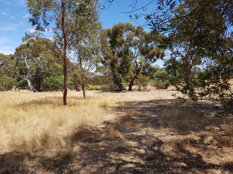 Lot 51/1054 Gawler One Tree Hill Road, One Tree Hill SA 5114