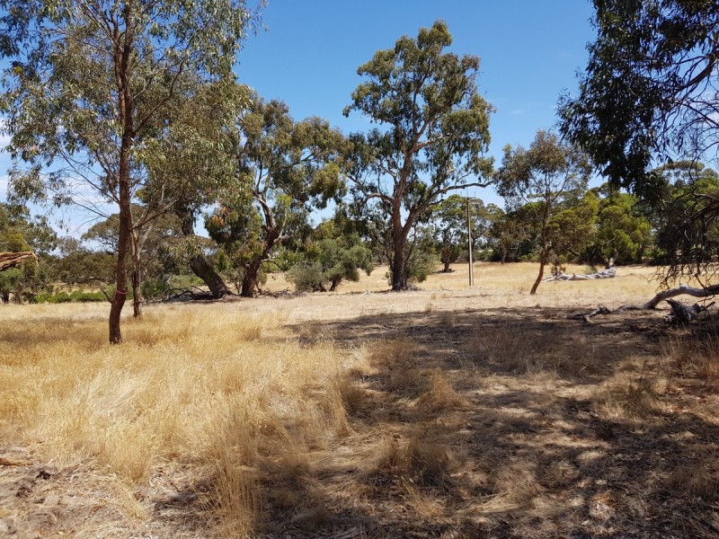 Lot 51/1054 Gawler One Tree Hill Road, One Tree Hill SA 5114