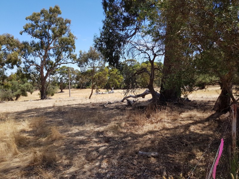 Lot 51/1054 Gawler One Tree Hill Road, One Tree Hill SA 5114