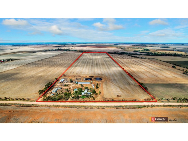 64 Hamley Bridge Road (Barabba), Mallala SA 5502