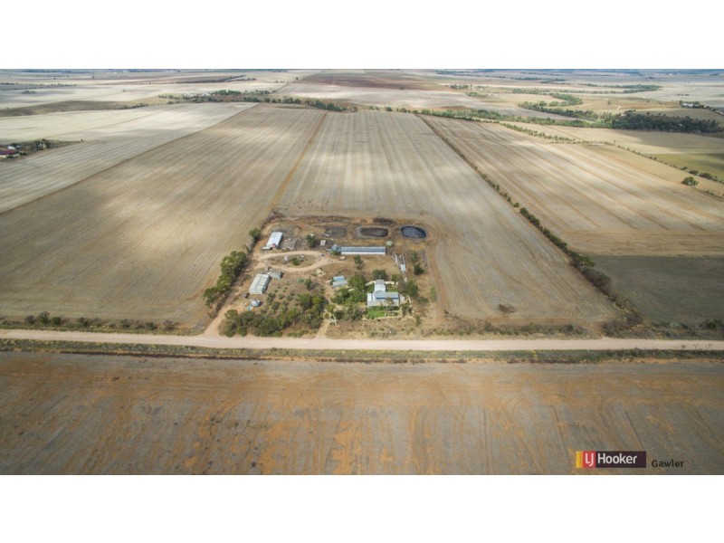 64 Hamley Bridge Road (Barabba), Mallala SA 5502