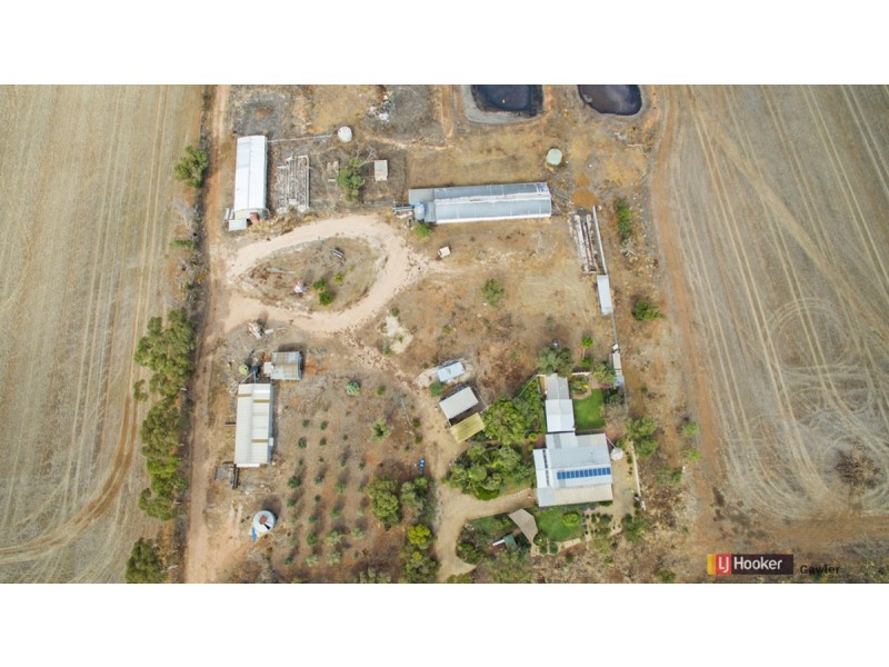 64 Hamley Bridge Road (Barabba), Mallala SA 5502