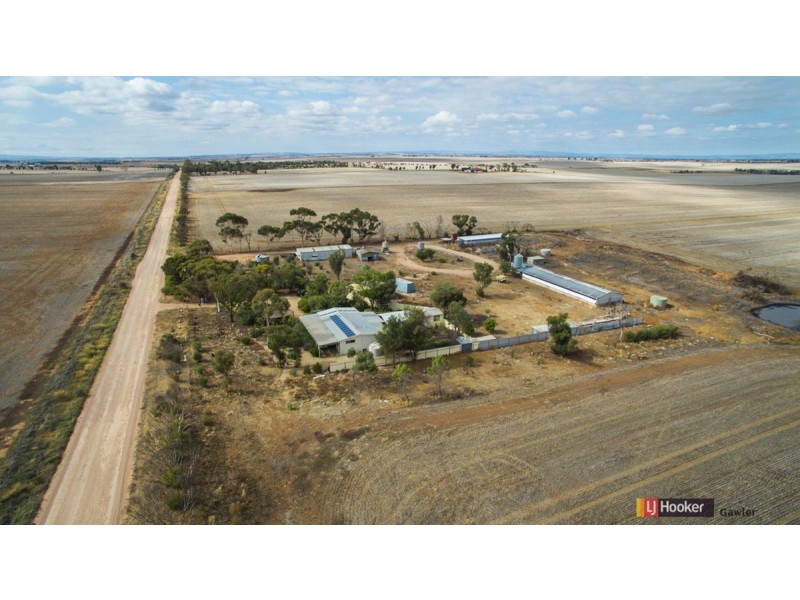 64 Hamley Bridge Road (Barabba), Mallala SA 5502