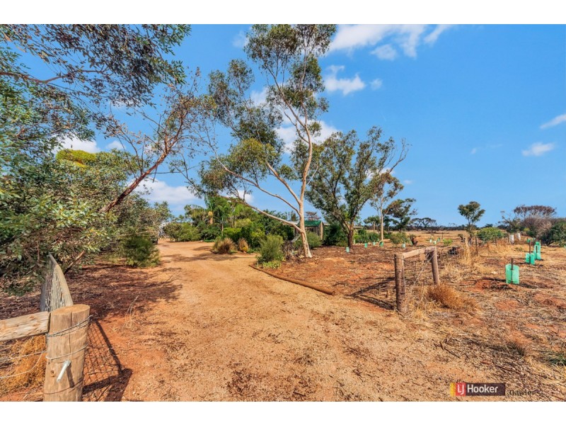 64 Hamley Bridge Road (Barabba), Mallala SA 5502