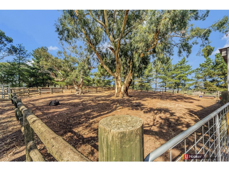 119 Trevilla Road (Humbug Scrub), One Tree Hill SA 5114