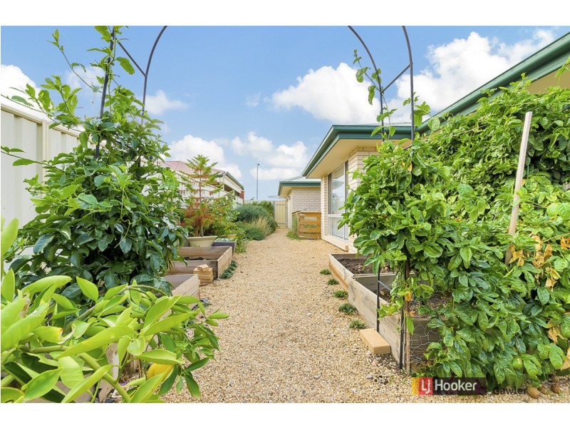 8 Lines Court, Gawler West SA 5118