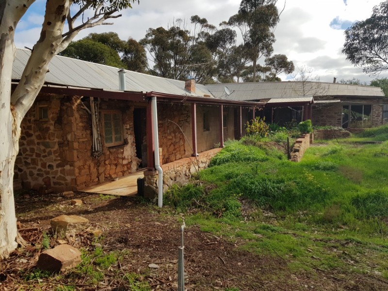 21 Rice Street, Dutton SA 5356