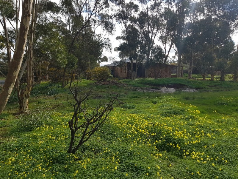 21 Rice Street, Dutton SA 5356