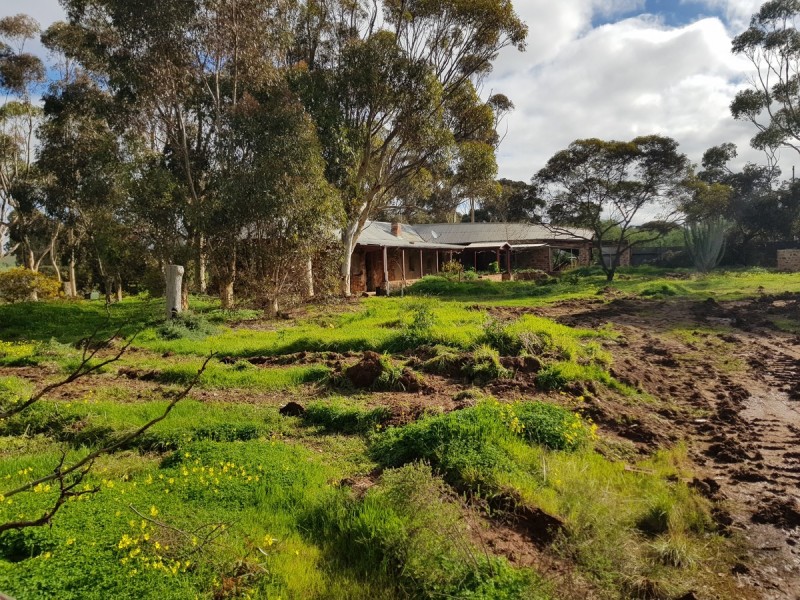 21 Rice Street, Dutton SA 5356