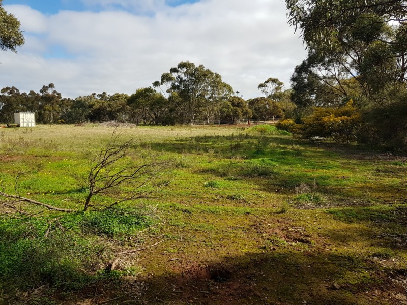 Lot 31/ Scott Street, Dutton SA 5356