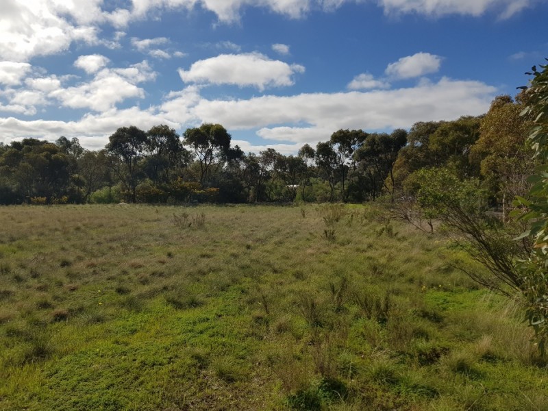 Lot 31/ Scott Street, Dutton SA 5356
