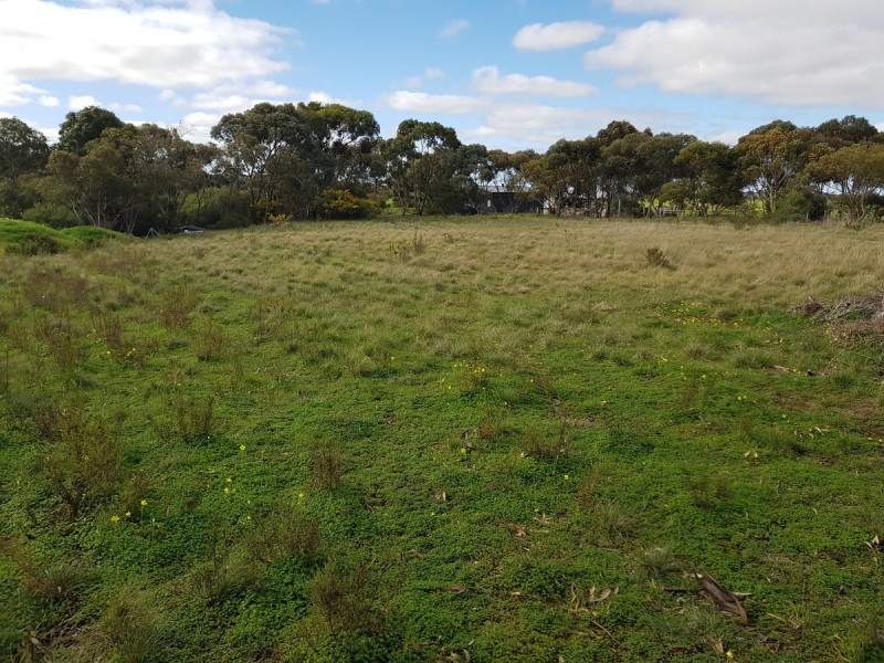 Lot 31/ Scott Street, Dutton SA 5356