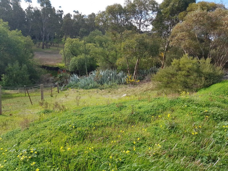 Lot 31/ Scott Street, Dutton SA 5356