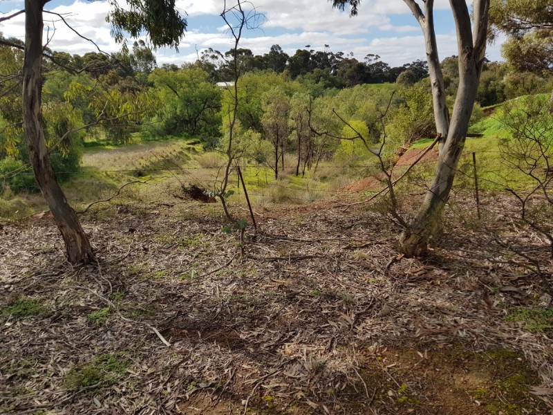 Lot 31/ Scott Street, Dutton SA 5356