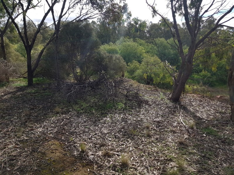 Lot 31/ Scott Street, Dutton SA 5356