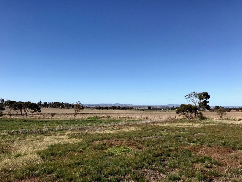 521 Schuster Street, Freeling SA 5372