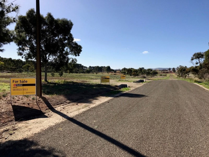 521 Schuster Street, Freeling SA 5372