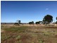 521 Schuster Street, Freeling SA 5372