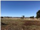 521 Schuster Street, Freeling SA 5372