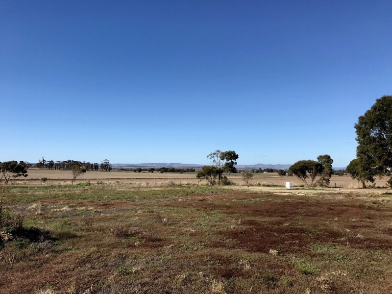 521 Schuster Street, Freeling SA 5372