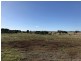 521 Schuster Street, Freeling SA 5372